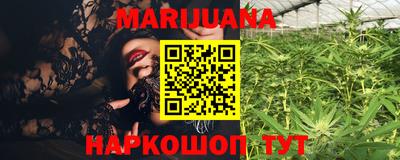 сатива Кимры