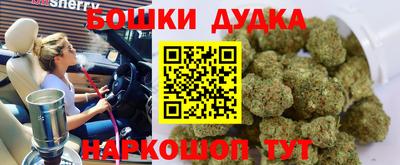 дмт Кингисепп