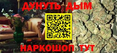 дмт Кингисепп