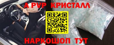 дмт Кингисепп