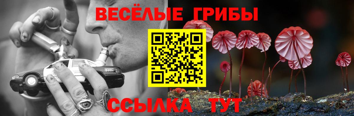 Черкесск  Галлюциногенные грибы Cubensis  купить наркоту  Псилоцибиновые грибы GOLDEN TEACHER  Вход с VPN 